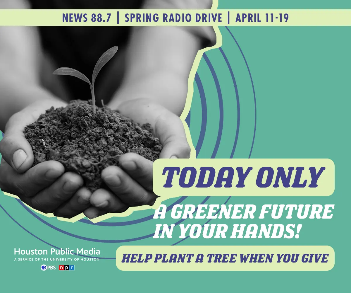 Grow your community. Help plant a tree when you give