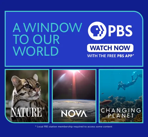 PBS Passport: a window to our world
