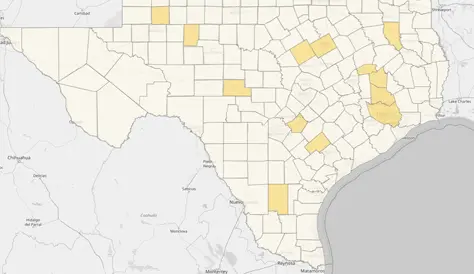 Texas Power Outage Tracker Map