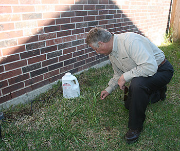 Gary Baron treating the grass