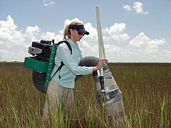 One of Pennings's research team wielding the D-VAC in the field