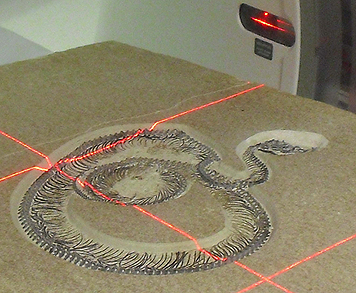 Fossilized Snake Gets C-T Scan – Houston Public Media