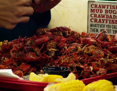 Video: A Prosperous Crawfish Season In 2015 – Houston Public Media
