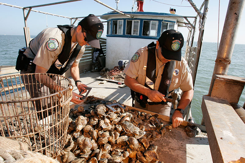 Will This Improve Copano Bay?