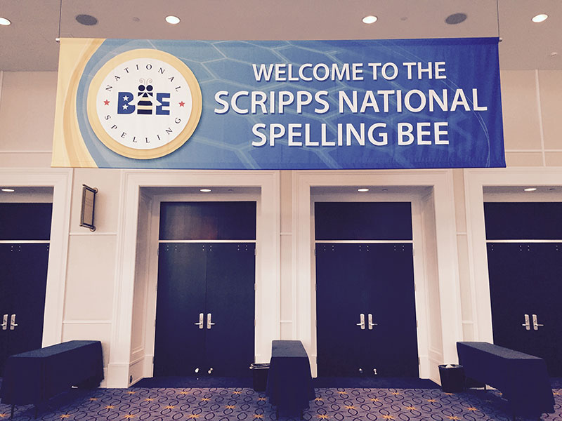 SpellingBee1-connie-hill-800px.jpg