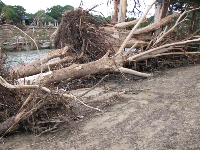 down_cypress_trees_along_the_Blanco_River_in_Wimberely.jpg
