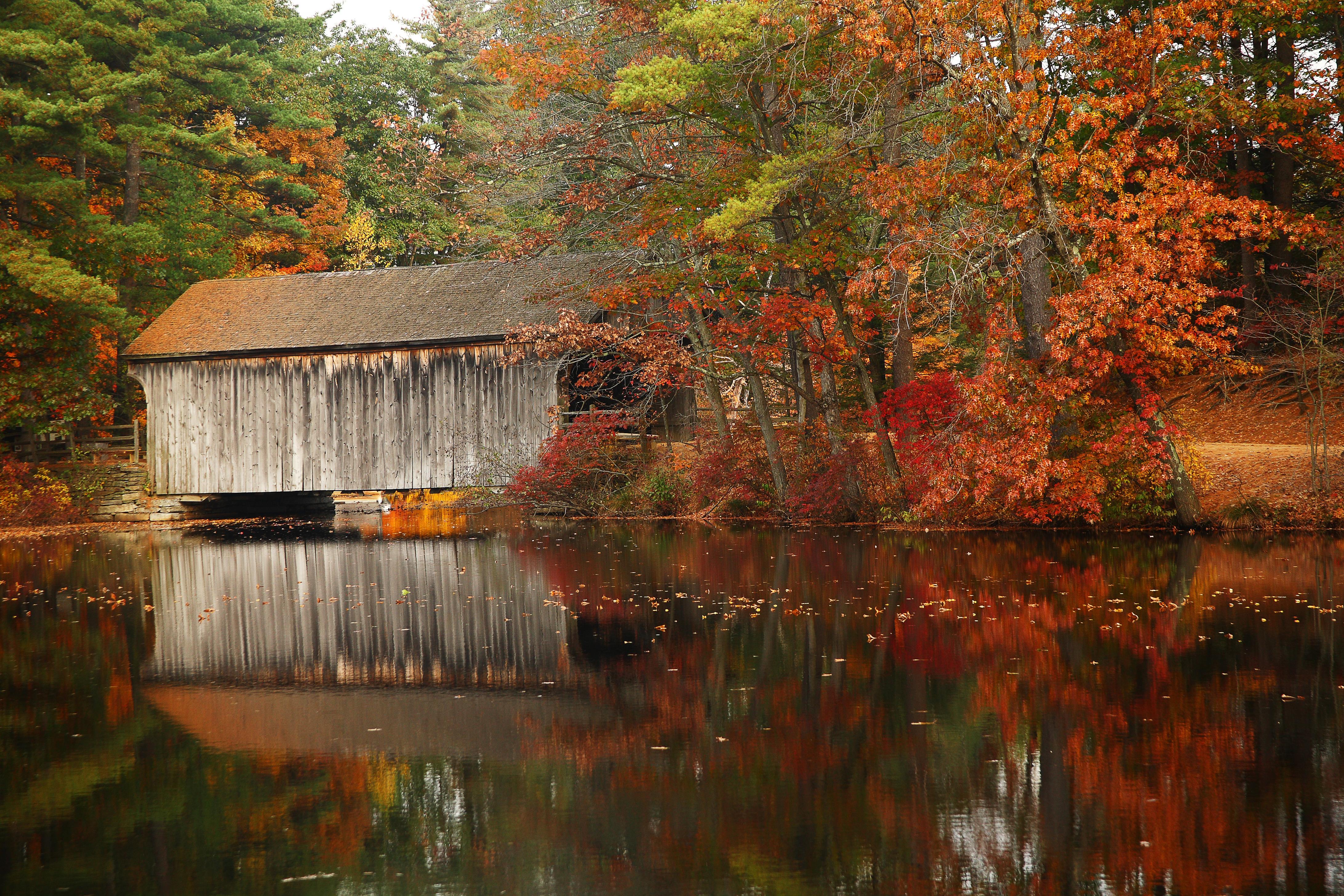 A photo of a covered bridge in Massachusetts amid fall foliage
