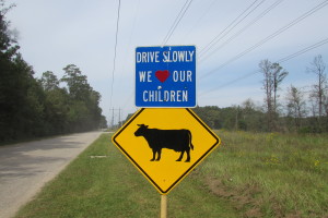 A sign cautions drives to watch out for kids and cows on Hargraves Road in northeast Harris County.