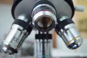 frontal microscope closeup