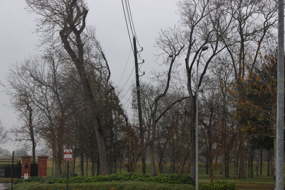 Planned power outage for various buildings on Long Campus - UT