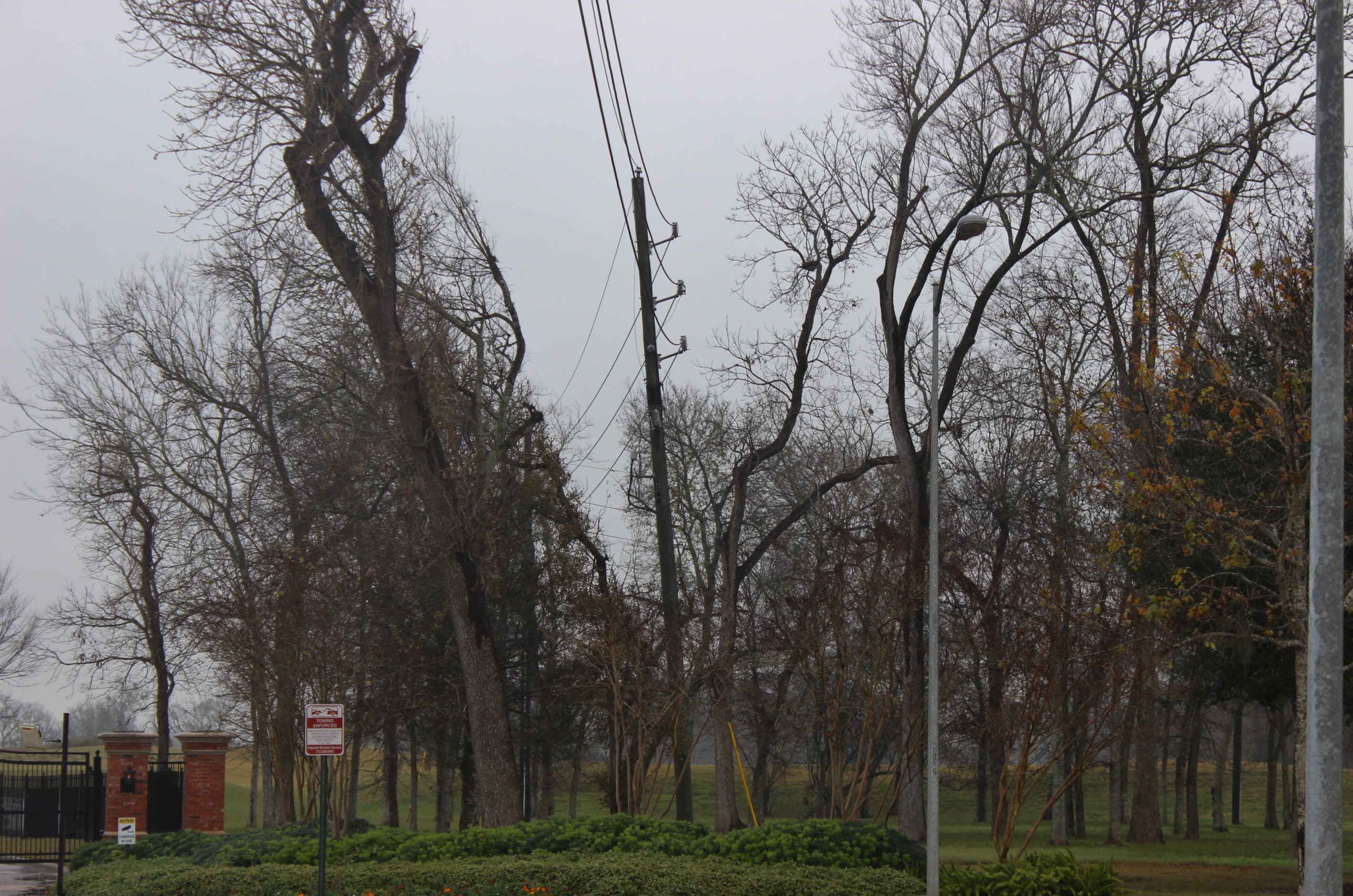 CenterPoint Energy says it's increasing tree-trimming near power lines