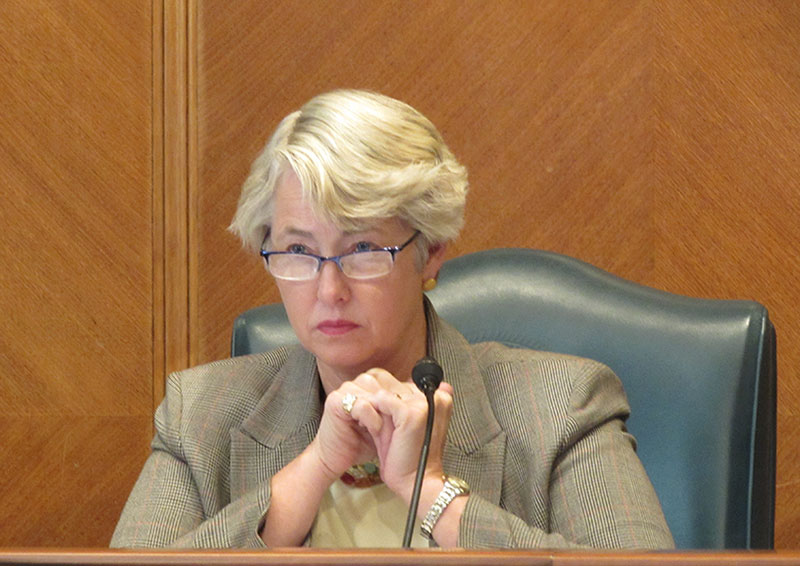 Mayor Annise Parker at a city council meeting