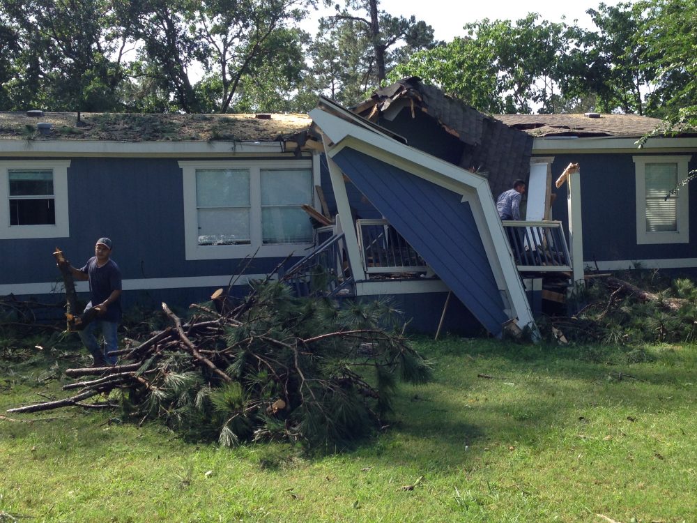 Update: North Harris County Woman Dies After Large Tree Crashes Into ...