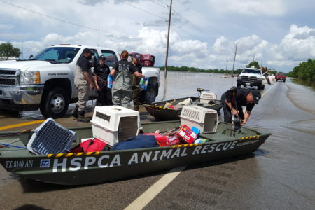 HSPCA rescue boat