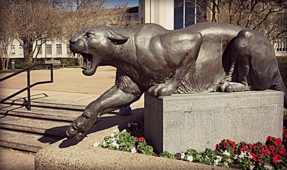 A statue of the Cougar mascot at the University of Houston taken March 5, 2016. (Photo: Michael Hagerty, Houston Public Media)