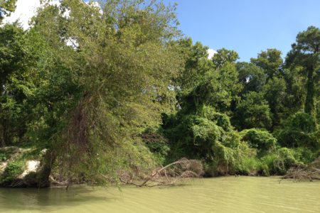 The purchase of the land for the park is being funded with monies from the settlement Harris County reached in 2014 with two of the companies responsible for the pollution in the San Jacinto River waste pits.