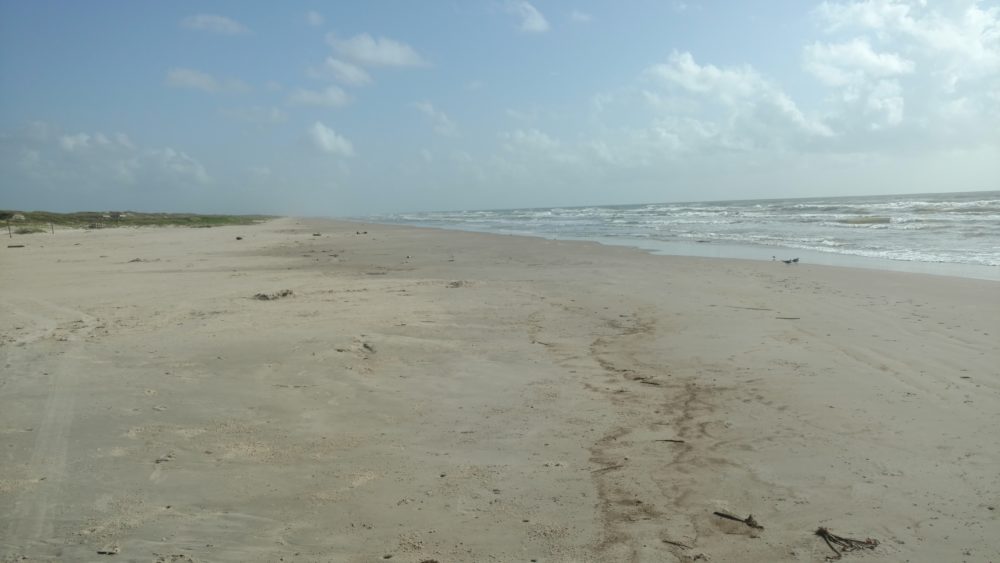 Red Tide Alert at Padre Island National Seashore – Houston Public