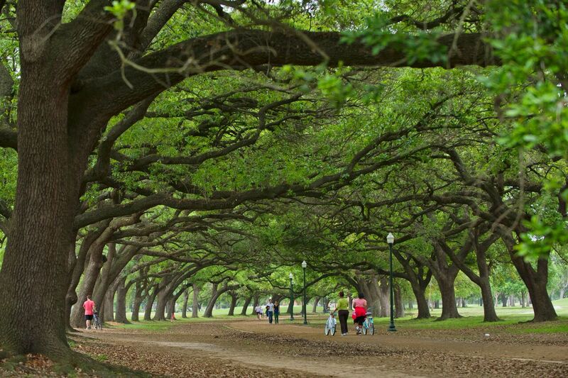 Hermann Park