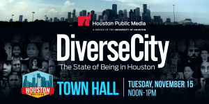 DiverseCity-TownHall-Wide-Banner-NOV15-2160x1080