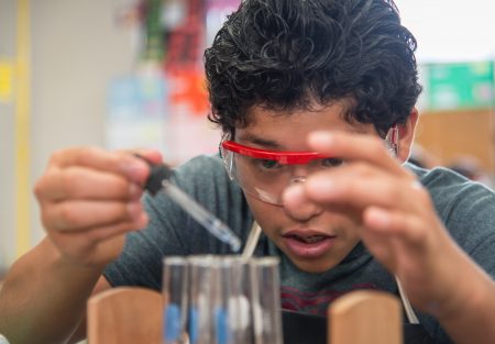 Biology students work on a project at Reagan High School, September 16, 2014.