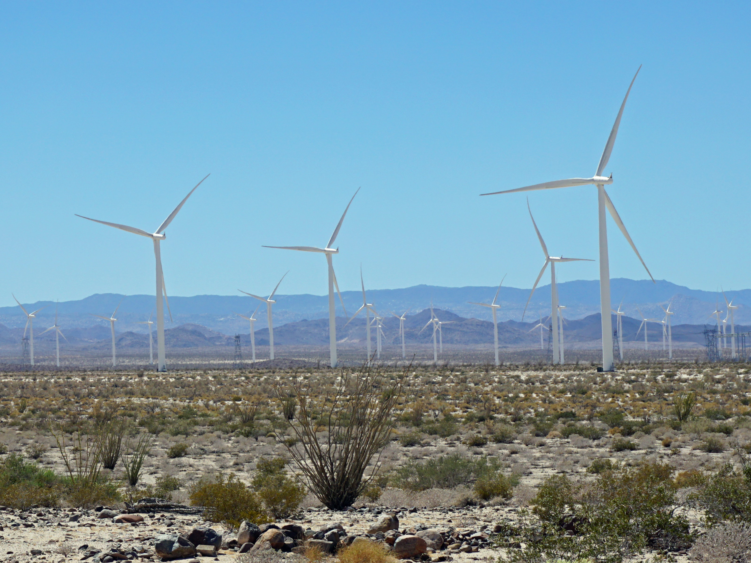 About a quarter of California's electricity comes from renewable sources, like this wind farm outside San Diego.