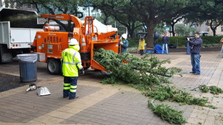 Mulching of the City of Houston Christmas Tree