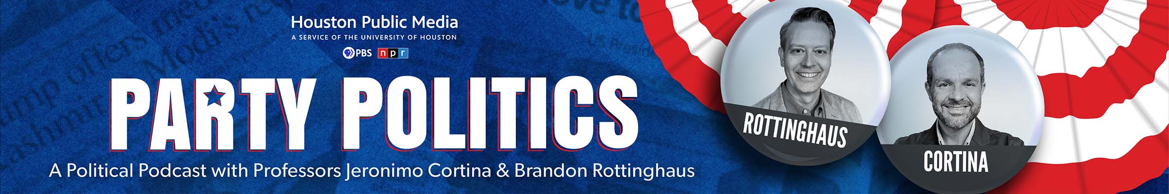 Party Politics page banner