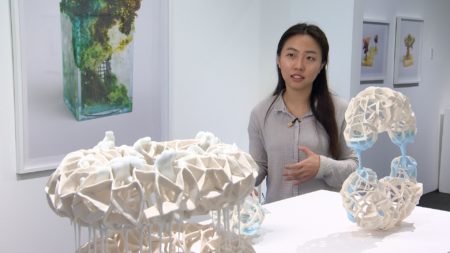 Artist Shiyuan Xu talks about her work on display at Capsule Gallery