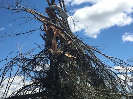 Damage from Saturday's night tornadoes in outside of Canton in Van Zandt County.