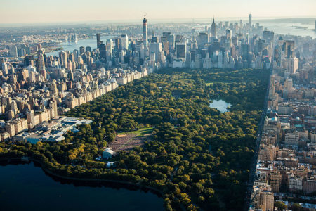 New York City's Central Park
