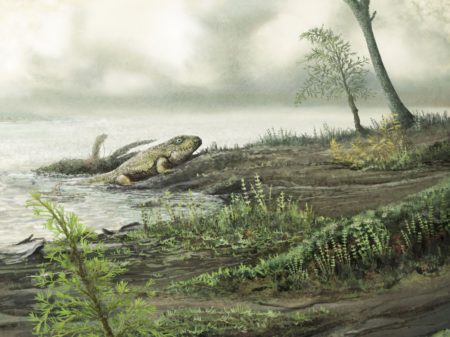 The ancestors of modern hospital superbugs may have lived in the guts of ancient land animals.