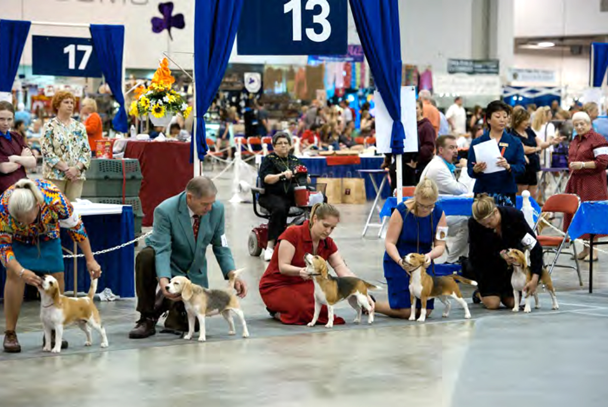 Are Dogs Allowed At The Houston Dogshow