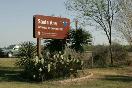 Protesters gathered at the Santa Ana National Wildlife Refuge to protest the potential environmental risks of building a border wall.