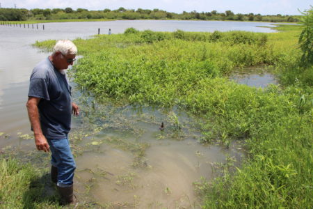 Ronnie Hamrick searches for plastic pellets in Cox Creek, near Point Comfort, TX.