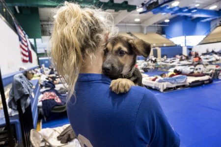 Tesa Rutherford, 21, and her fiancé, Brandon Olivarez, 22 recently moved to Rockport, where they lost everything to Hurricane Harvey. When they went to check on their property, they found a puppy, rescued him and named him Harvey. They took shelter at the Wilhelmina Delco Center emergency hurricane shelter in Austin on Aug. 29.