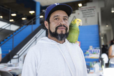 Jose Guerrero walks around with his parrot at the Delco Center for Harvey evacuees in Austin.