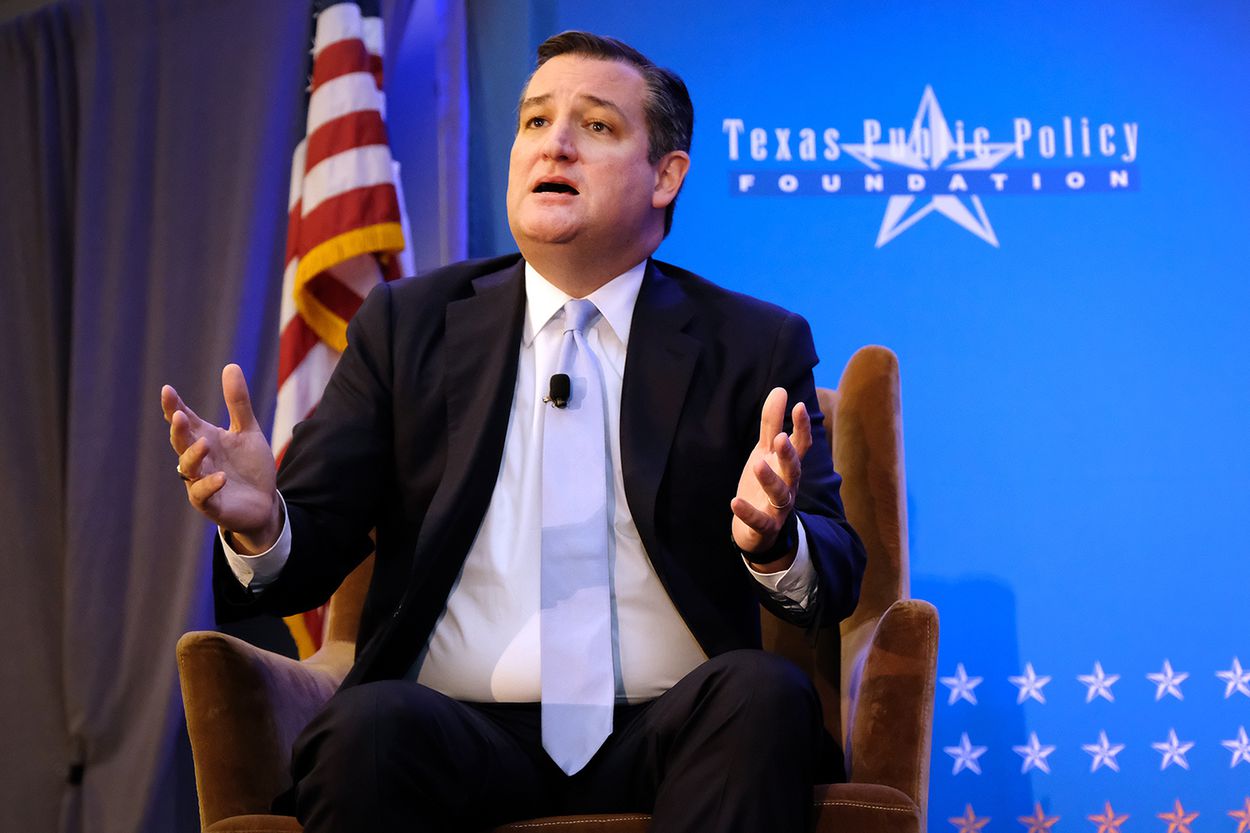 Party Politics, Texas Edition Ep. 29: Who’s Challenging Ted Cruz? episode artwork
