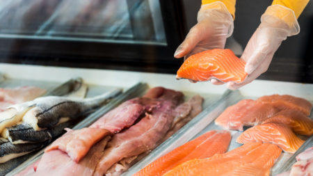 Fresh fish fillets for sale in a display case. Concerns over animal welfare have led to changes in how livestock are raised in recent years. But seafood has been missing from the conversation. One group aims to change that.