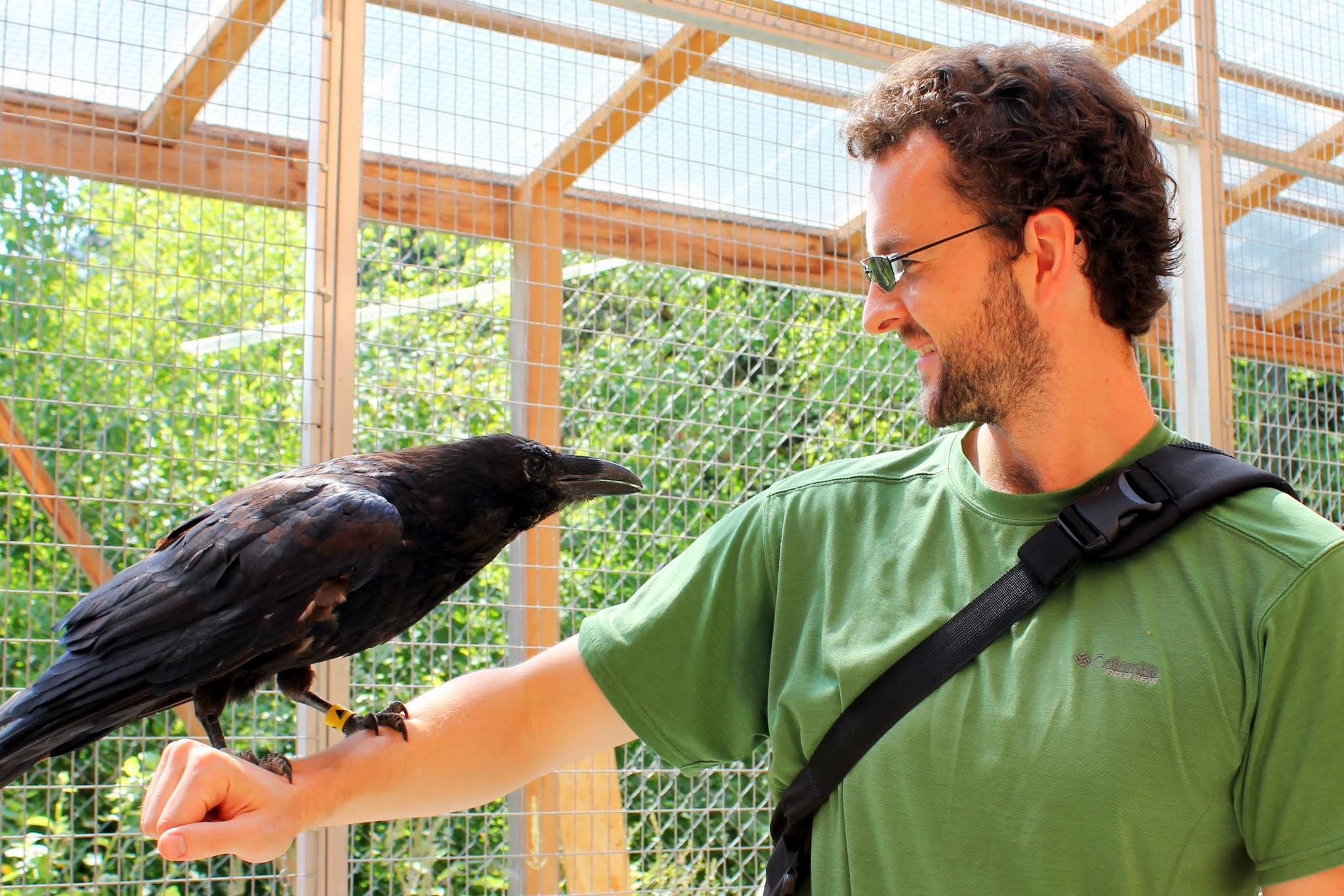 UH Moment: Do Animals Think Rationally? – Houston Public Media UH Moment: Do Animals Think Rationally? – Houston Public Media