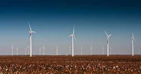 A-wind-turbine-farm-in-a-cotton-field-in-rural-West-Texas-shutterstuck-Sarah-Fields-Photography