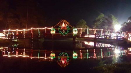Festival of Lights at Paul Hopkins Park in Dickinson.