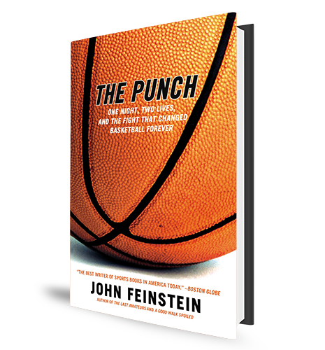 The-Punch-Book-Cover