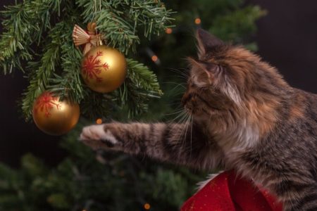 A cat plays with a Christmas tree ornament.