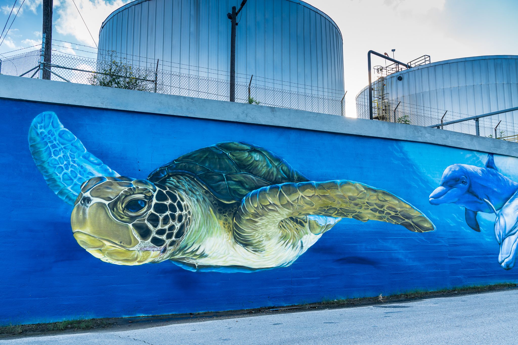 Dolphins & Underwater World Wall Mural Photo- Blue Side Studio