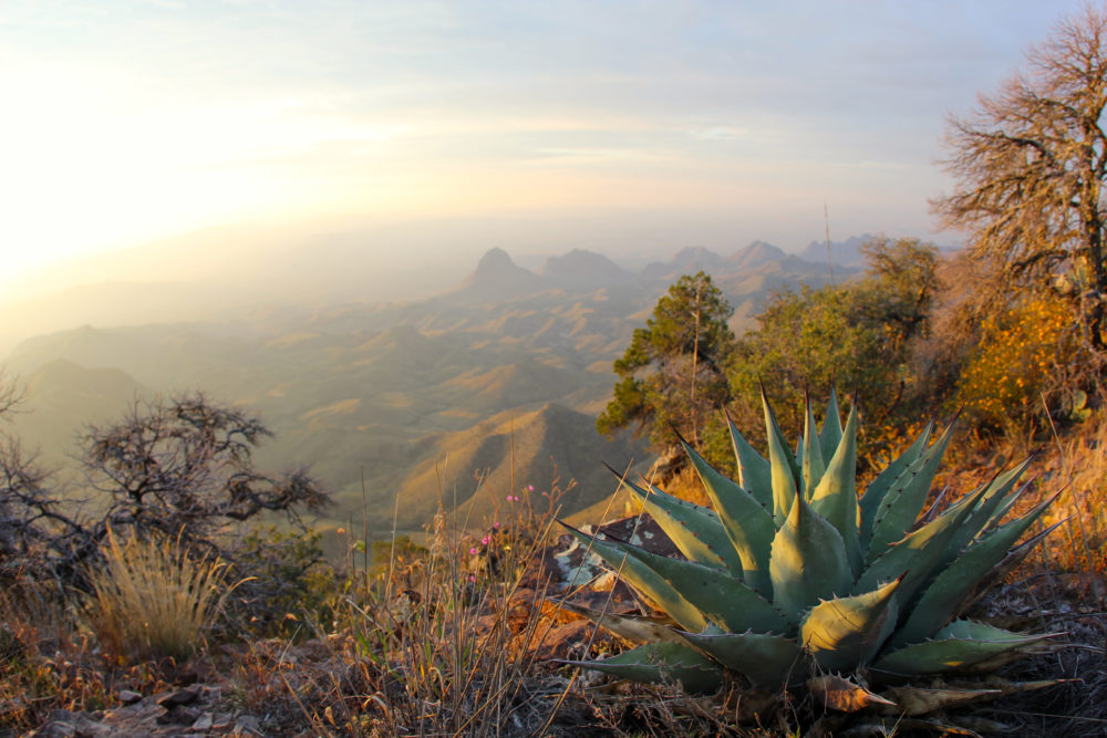 A view from the South Rim trail at Big Bend National Park on a hazy day.