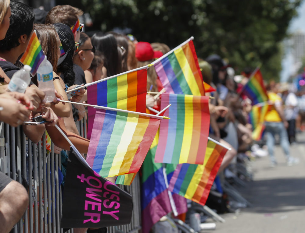 People celebrate the 48th annual Gay and Lesbian Pride Parade in June in Chicago. Activists say they hope the Illinois law banning the "gay panic" defense will lead to similar measures in other states.