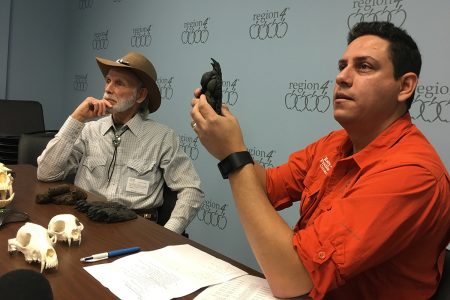 Jaime González of the Katy Prairie Conservancy (right) holds a mold of a black bear paw while answering a question from one of the Texas schools watching via video conference as Dr. Adrian Van Dellen of the Texas Black Bear Alliance looks on.