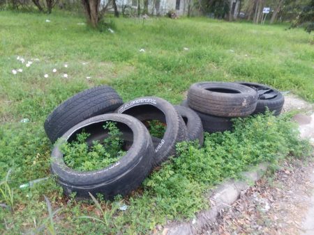 Tire dumping is an issue all over the region. These tires were found dumped in Houston's Near Northside neighborhood.