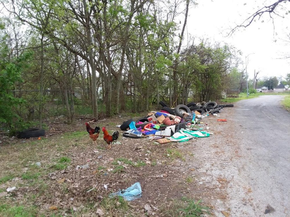 Harris County Is Asking For The Public’s Help To Fight Illegal Dumping ...