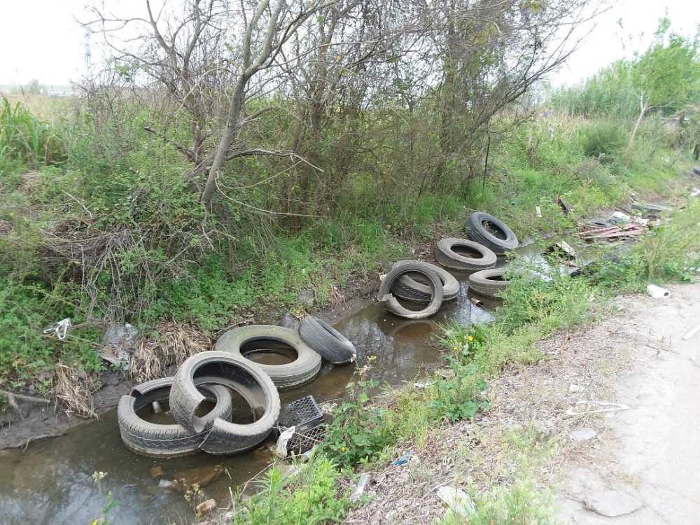 Harris County Is Asking For The Public’s Help To Fight Illegal Dumping ...